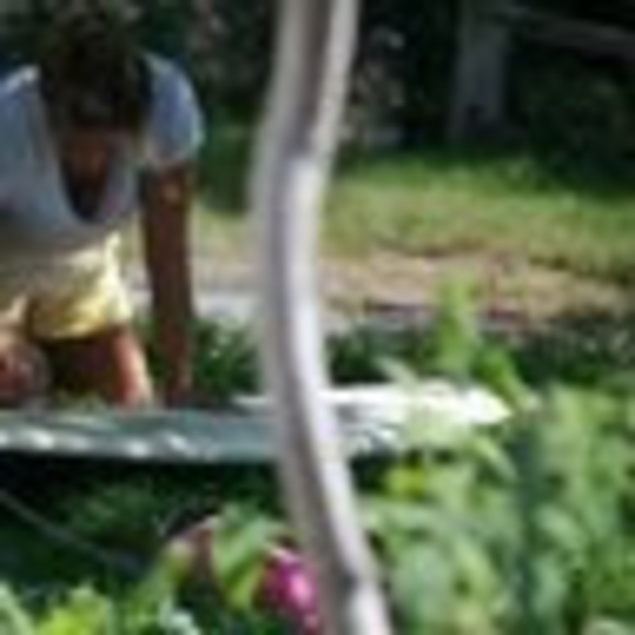 Meet your Posher, Cara - Picture 1 of 1